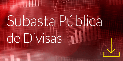 Subasta Pública de Divisas