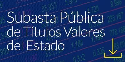 Subasta Pública de Títulos Valores del Estado